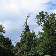 Picture 049